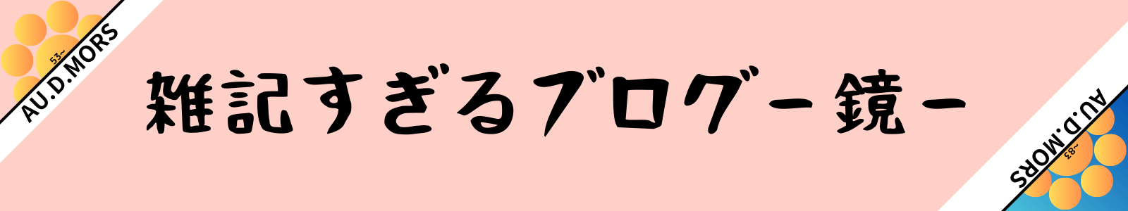 雑記すぎるブログ-鏡-