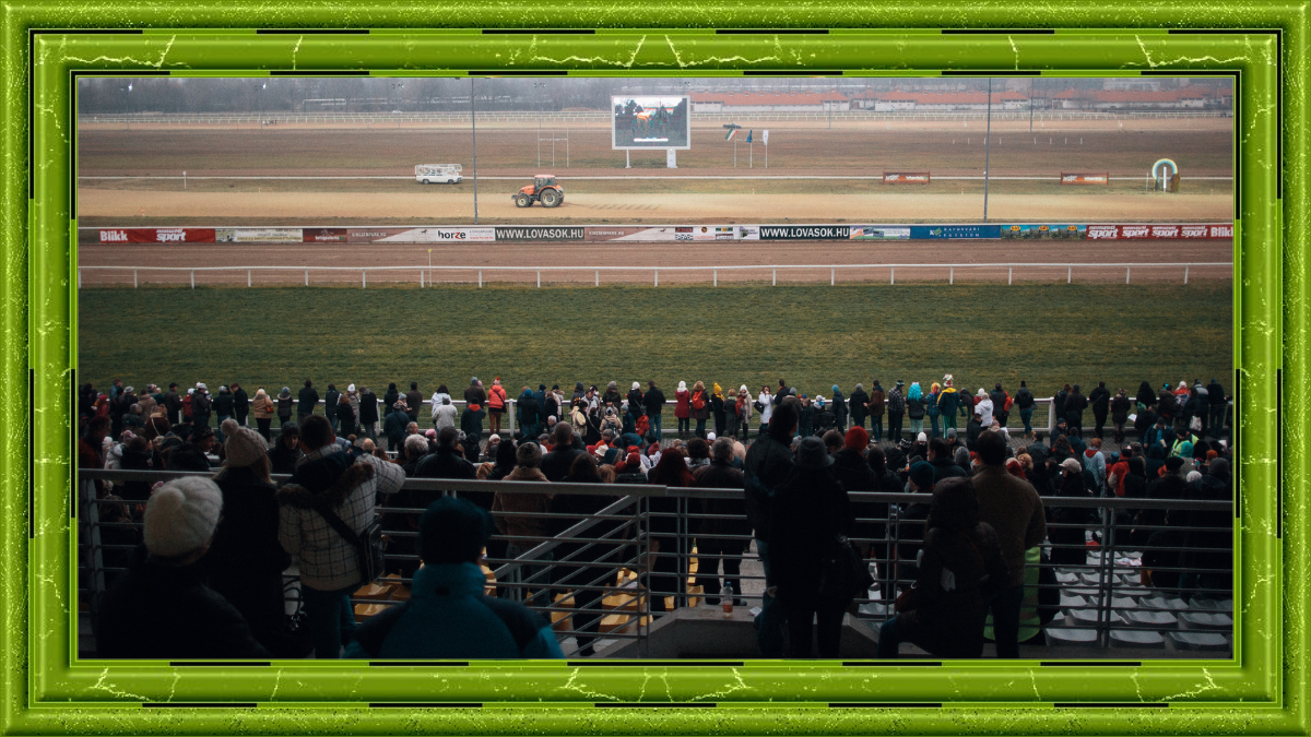 keiba(競馬場)